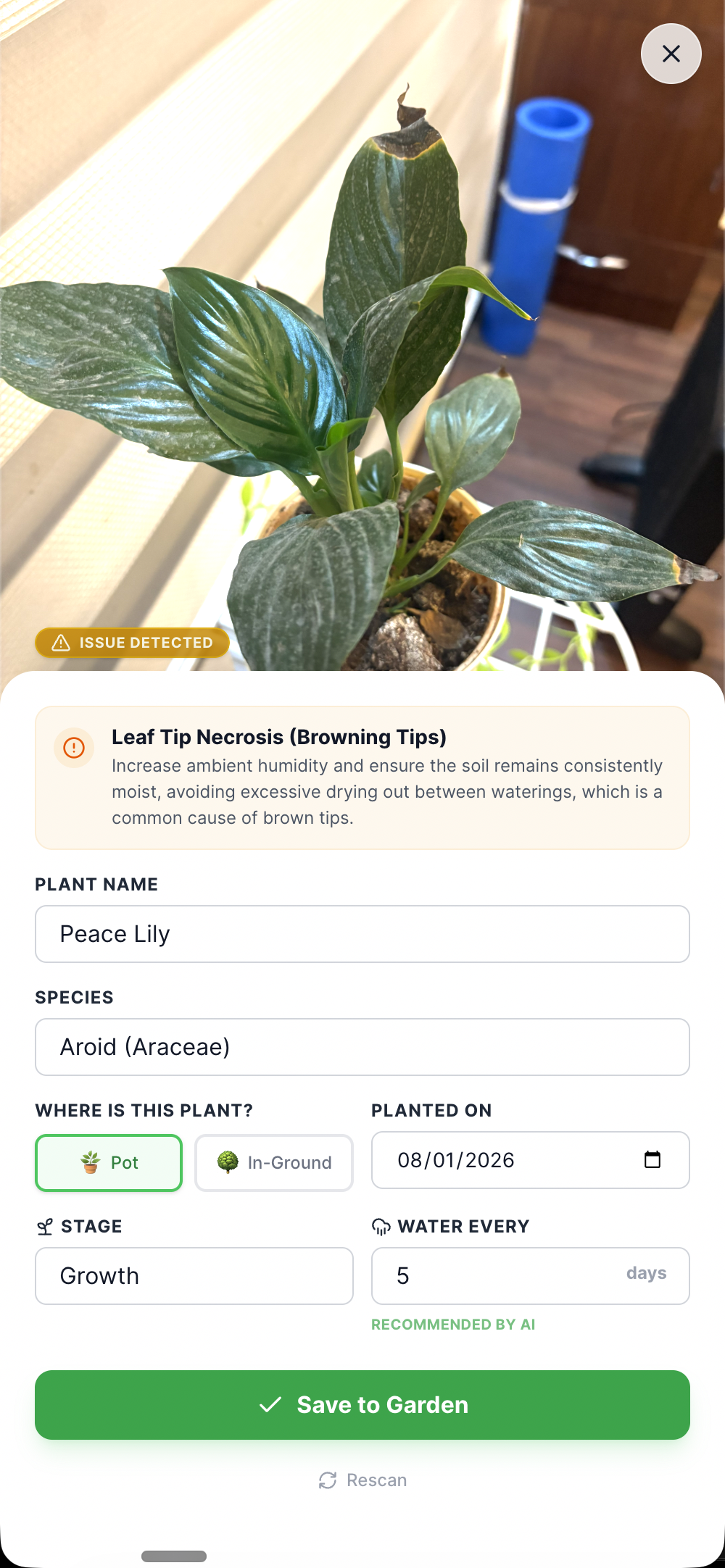 LeafyBook gallery image
