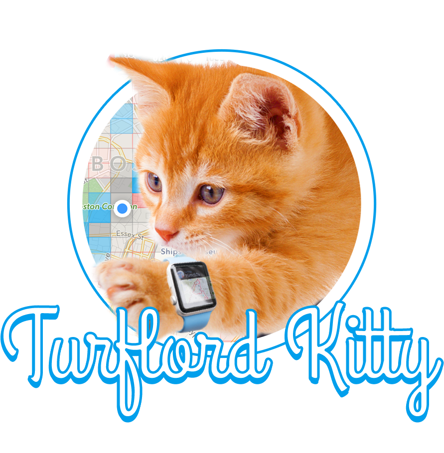 Turfly gallery image