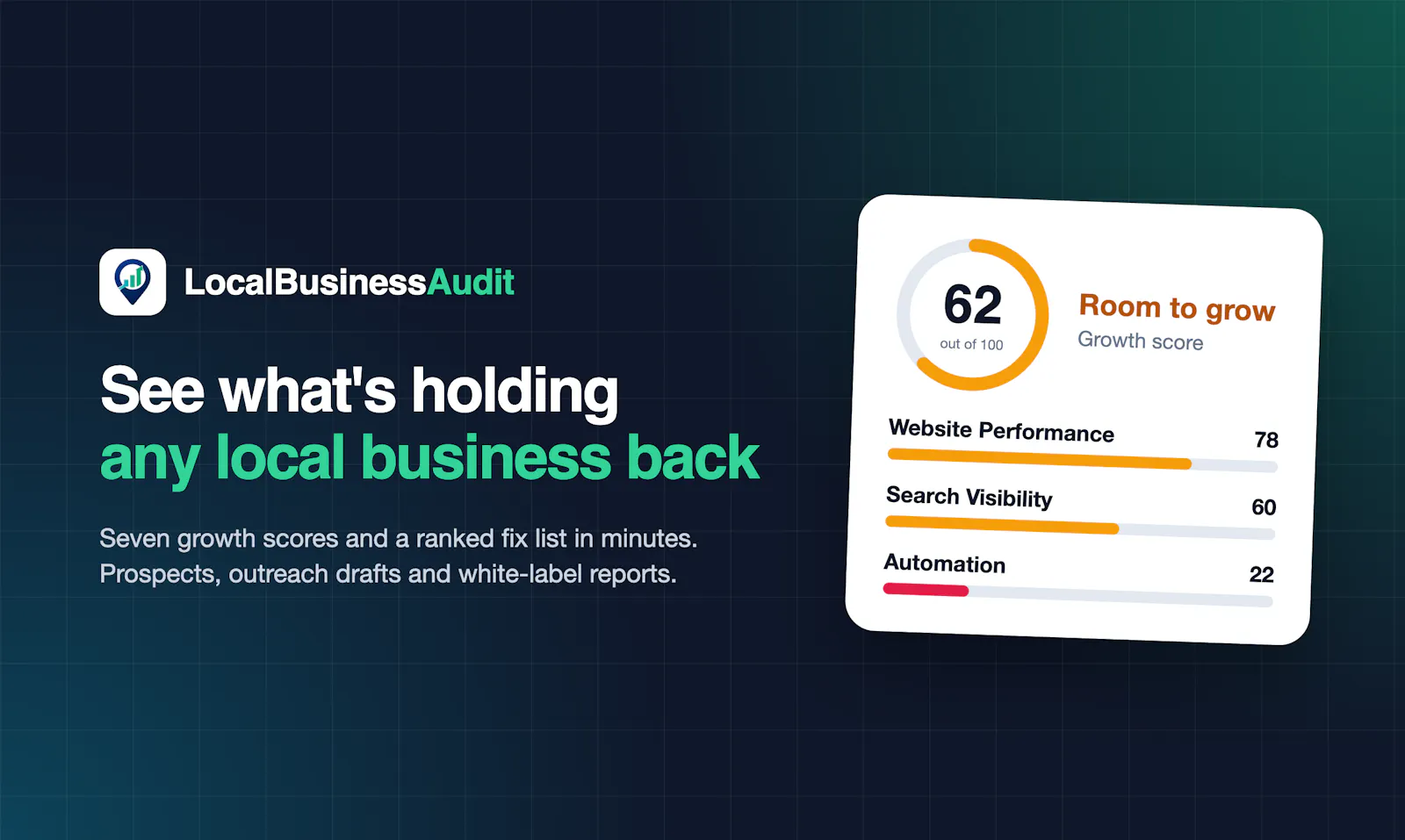 LocalBusinessAudit screenshot 2