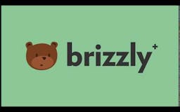 Brizzly media 1