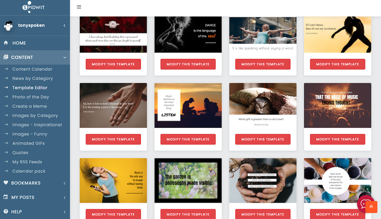 Spidwit gallery image