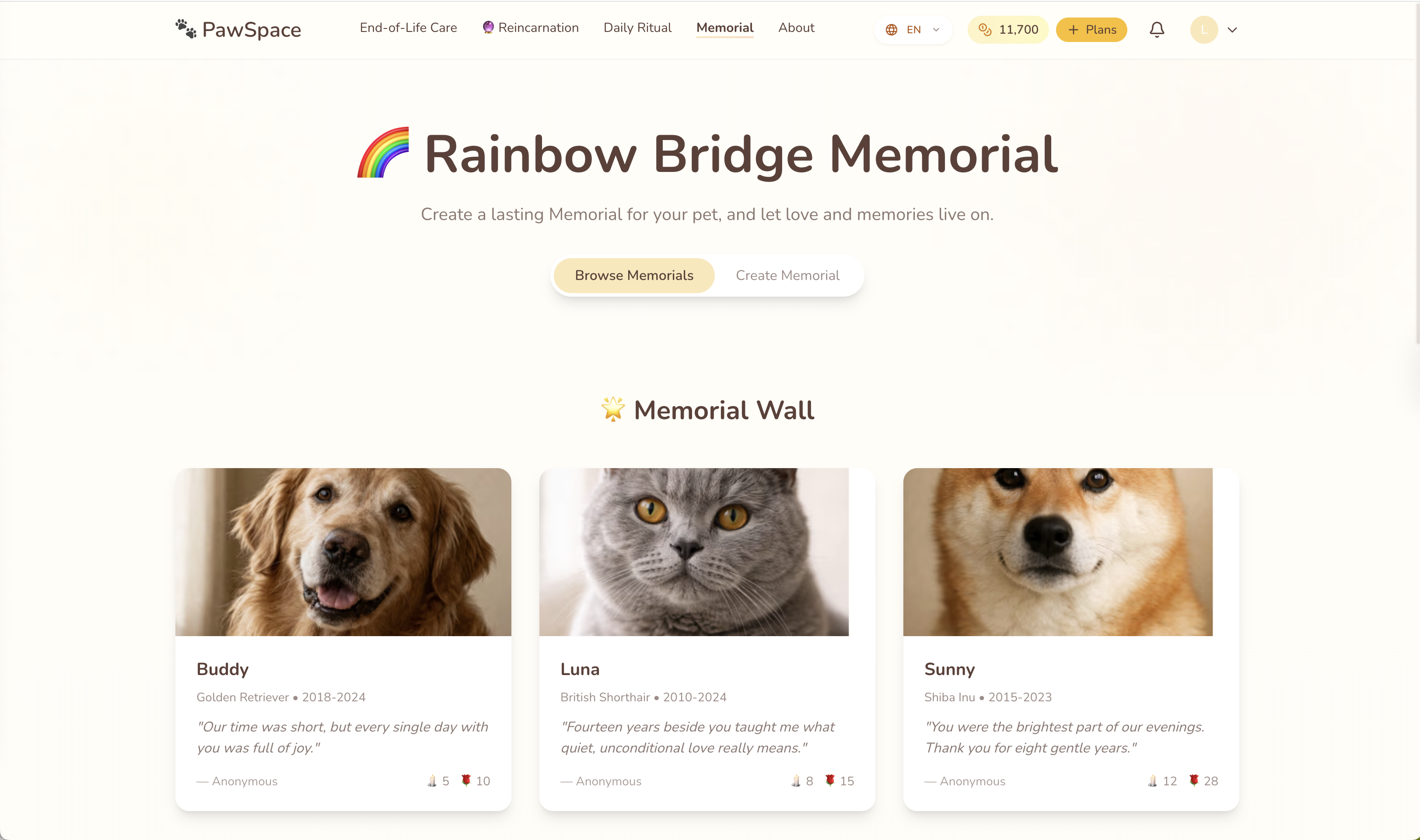 PawSpace gallery image