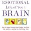 The Emotional Life of Your Brain