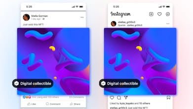 Digital Collectibles by Meta gallery image