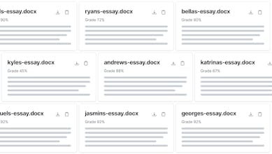 Lazy Teacher gallery image