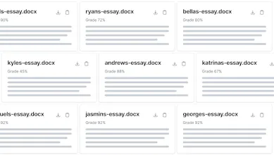 Lazy Teacher gallery image