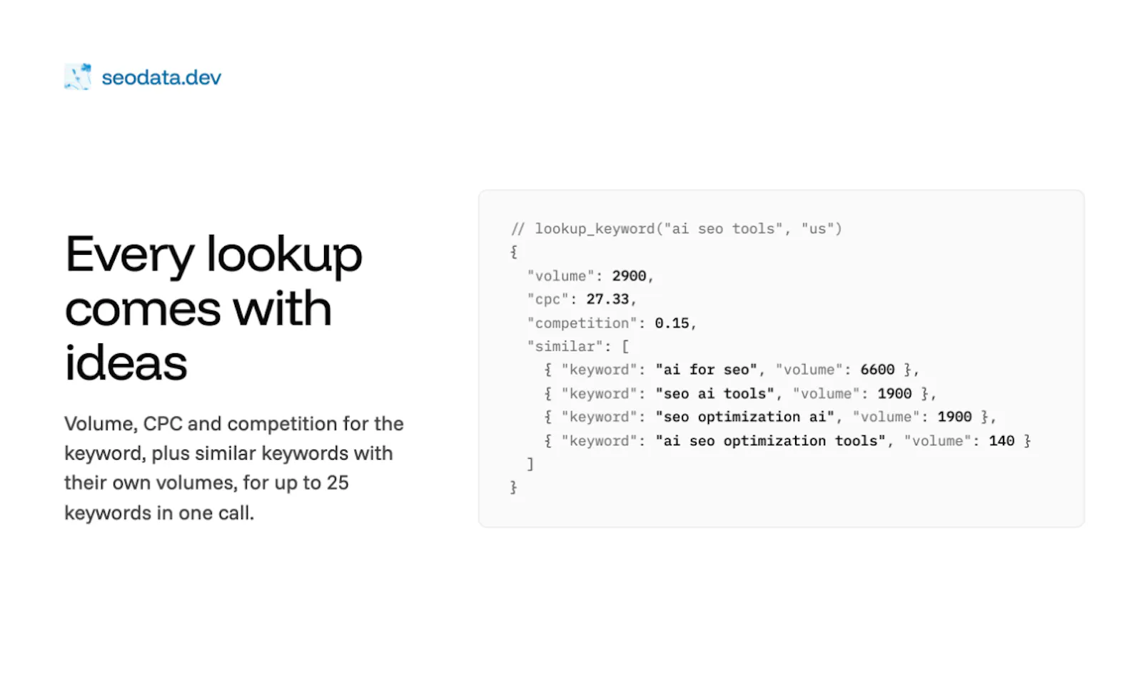 seodata.dev screenshot 5