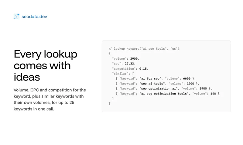 seodata.dev screenshot 5
