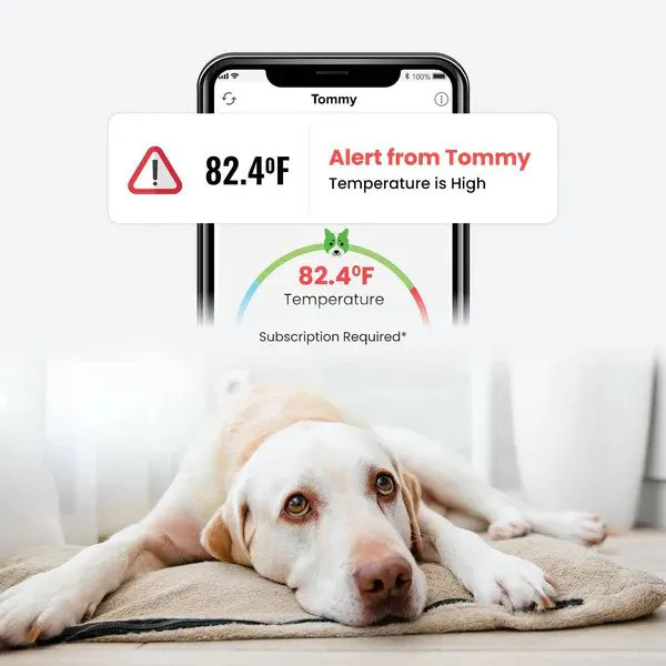 Waggle Pet Monitor gallery image