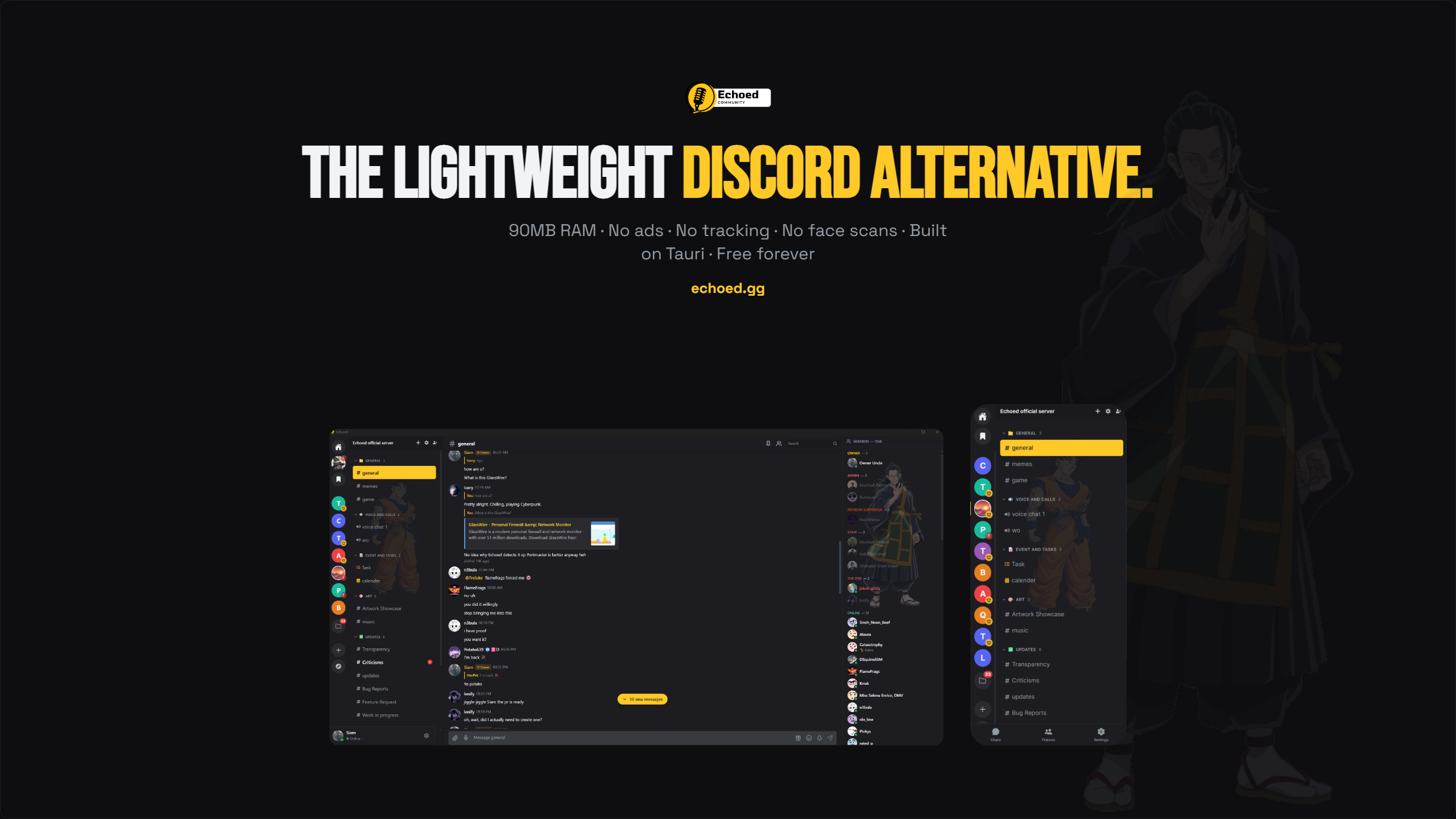 Echoed gallery image