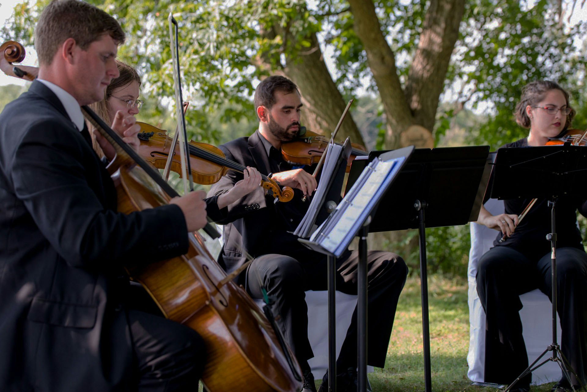 Dream City Strings gallery image