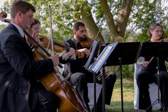 Dream City Strings gallery image