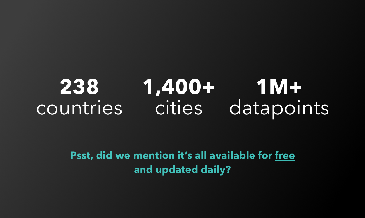 Visabug gallery image