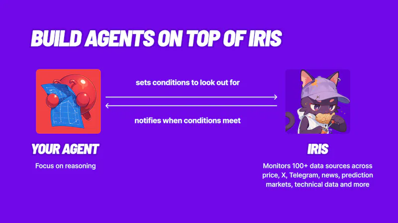 Elfa AI: Iris screenshot 6