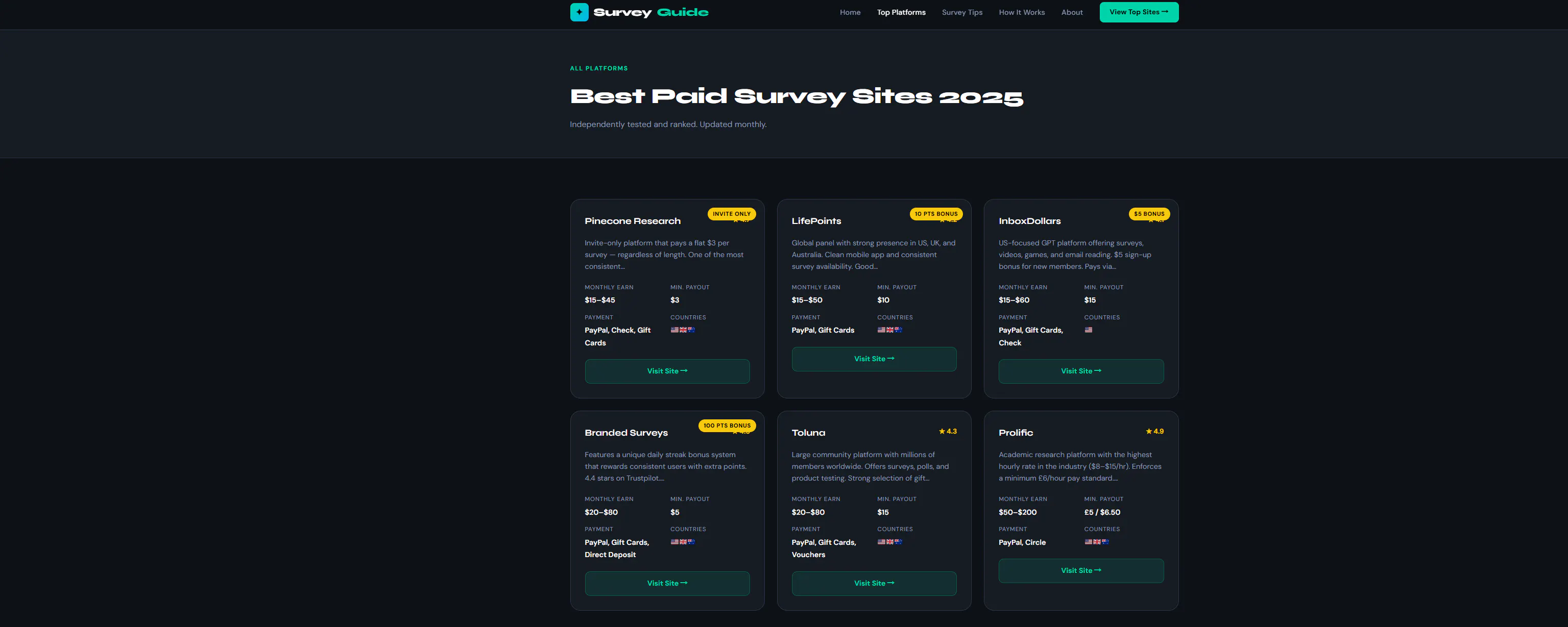 SurveyGuide 제품 배너