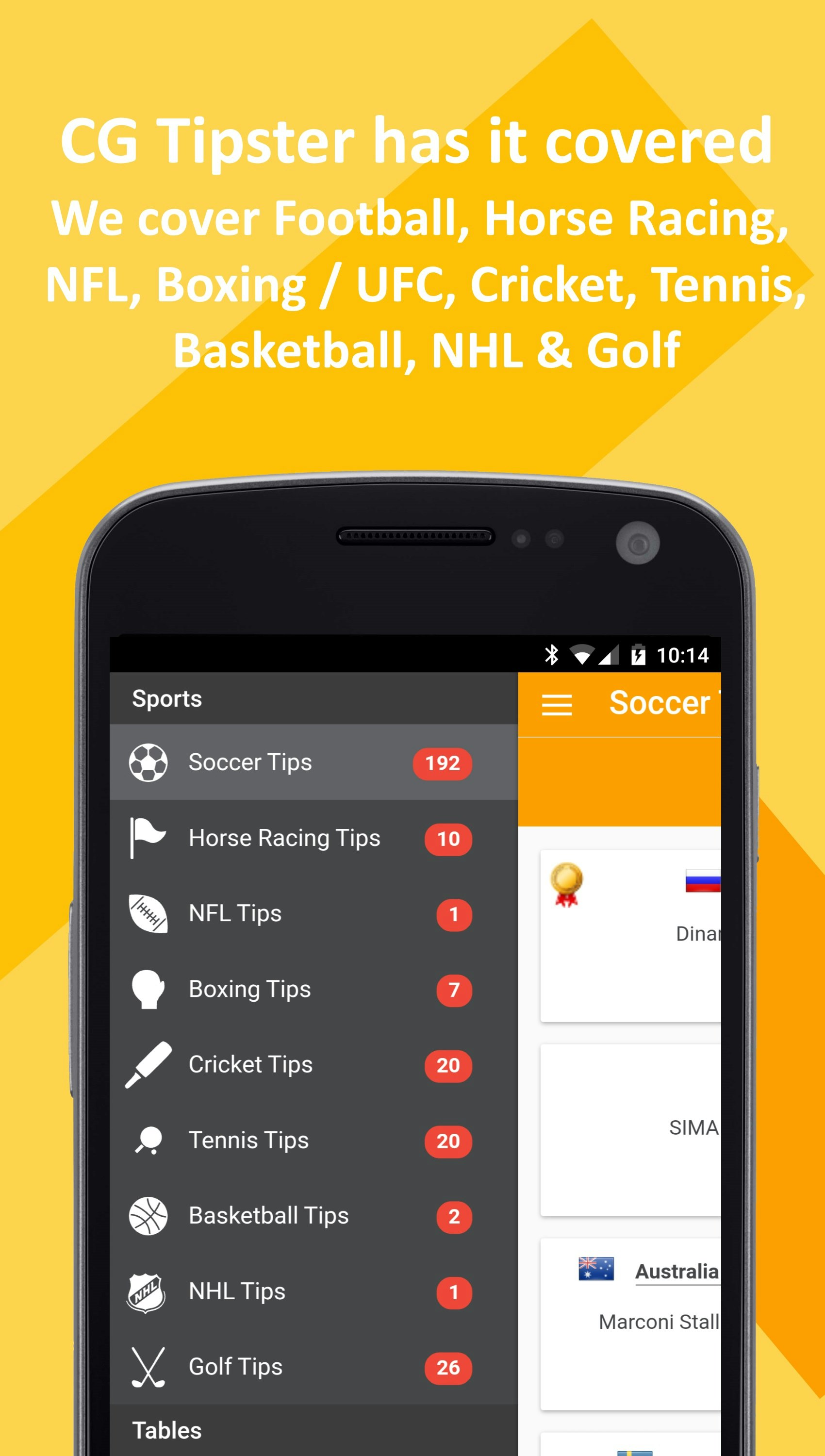 Football Tips / Sports Tips by CG Tipster gallery image