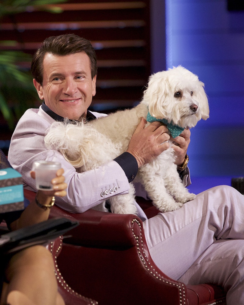 Petnostics gallery image