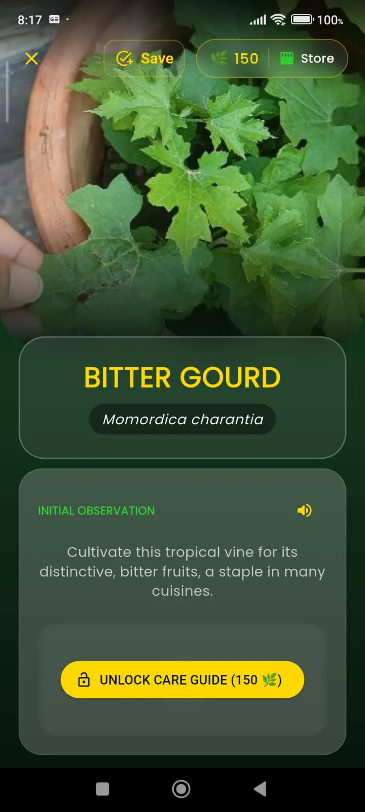 Plant Finder — Identify Plants & Doctor  gallery image