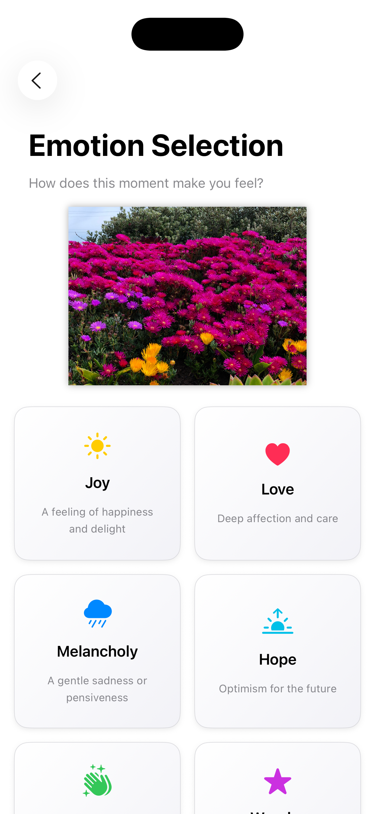 SoulSnap gallery image