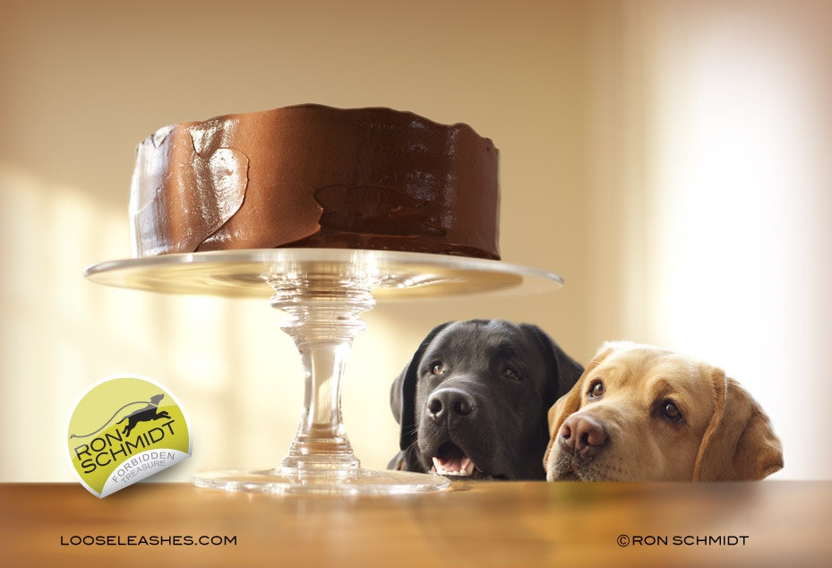 Loose Leashes gallery image