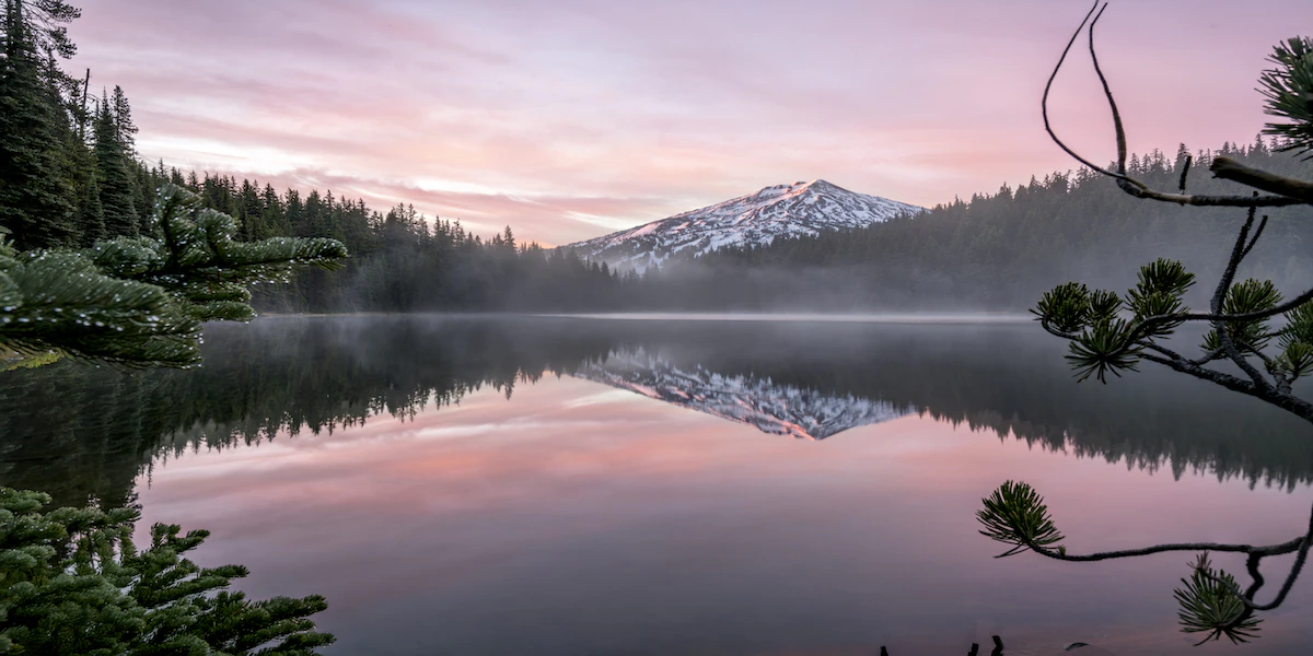 Matthew Thornton cover