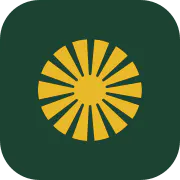 Kavi