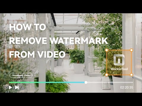 WorkinTool Watermark Eraser gallery image