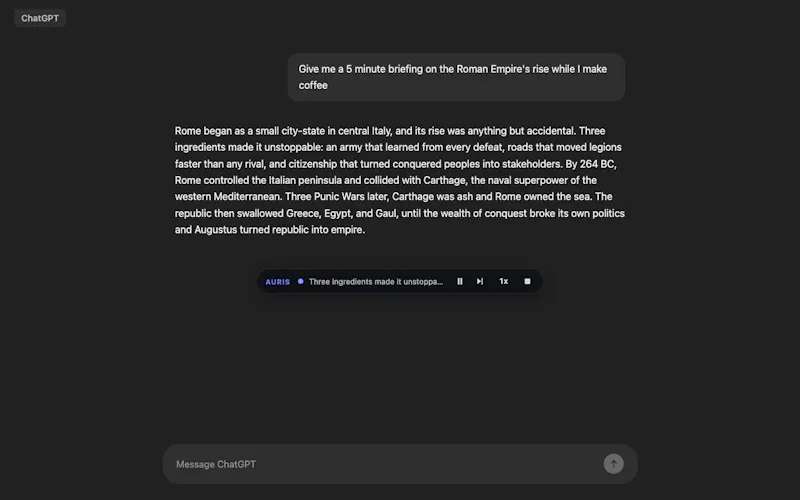 Auris - Your AI's Voice Layer screenshot 3