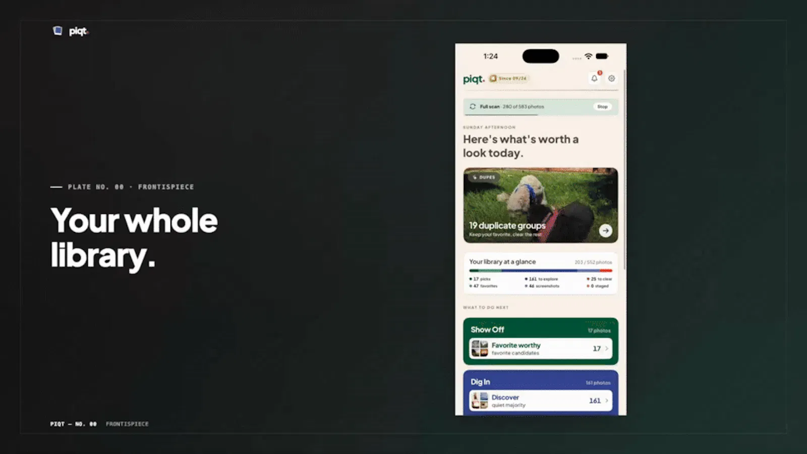 Piqt screenshot 1 (video preview)