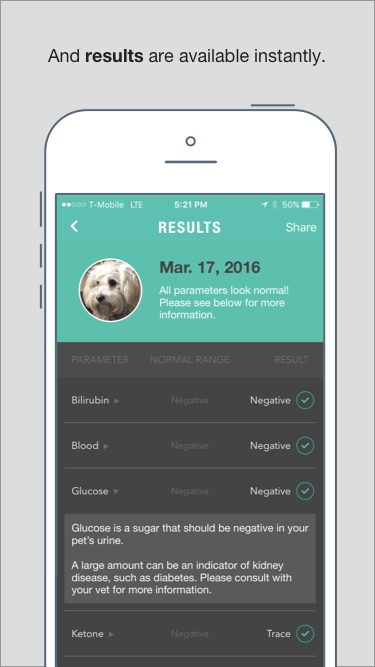 Petnostics gallery image