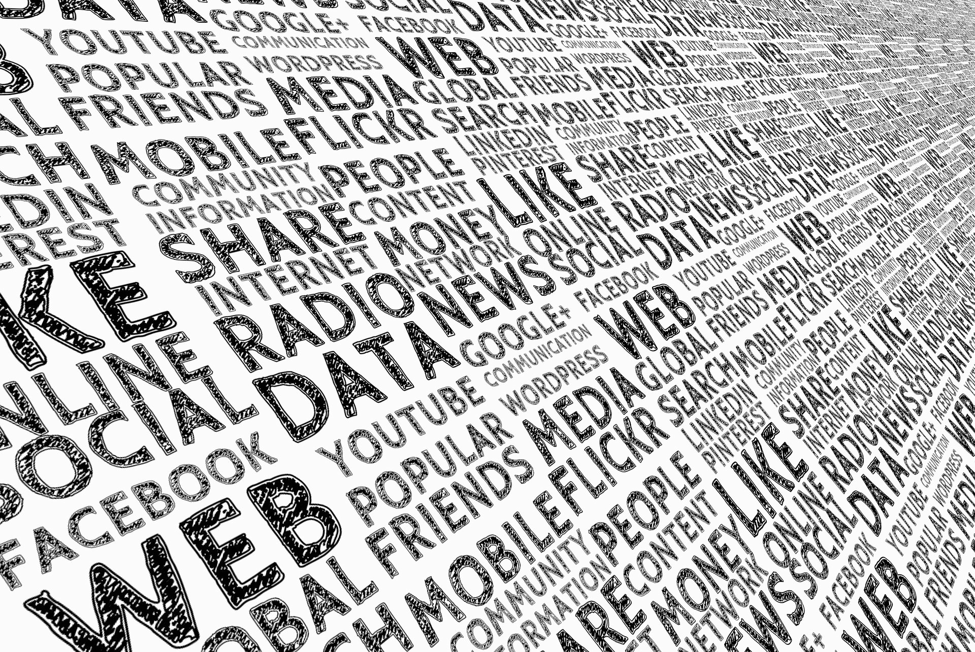 data removal service gallery image