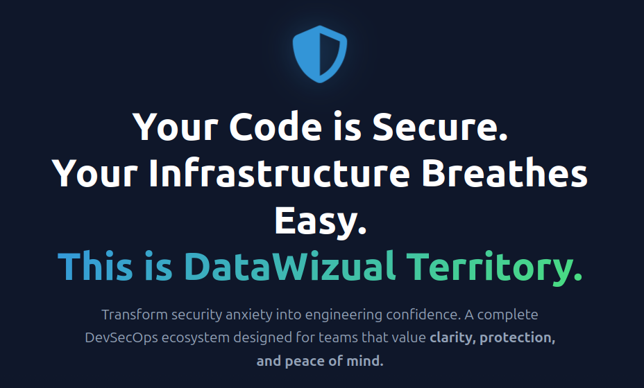 DataWizual Security gallery image