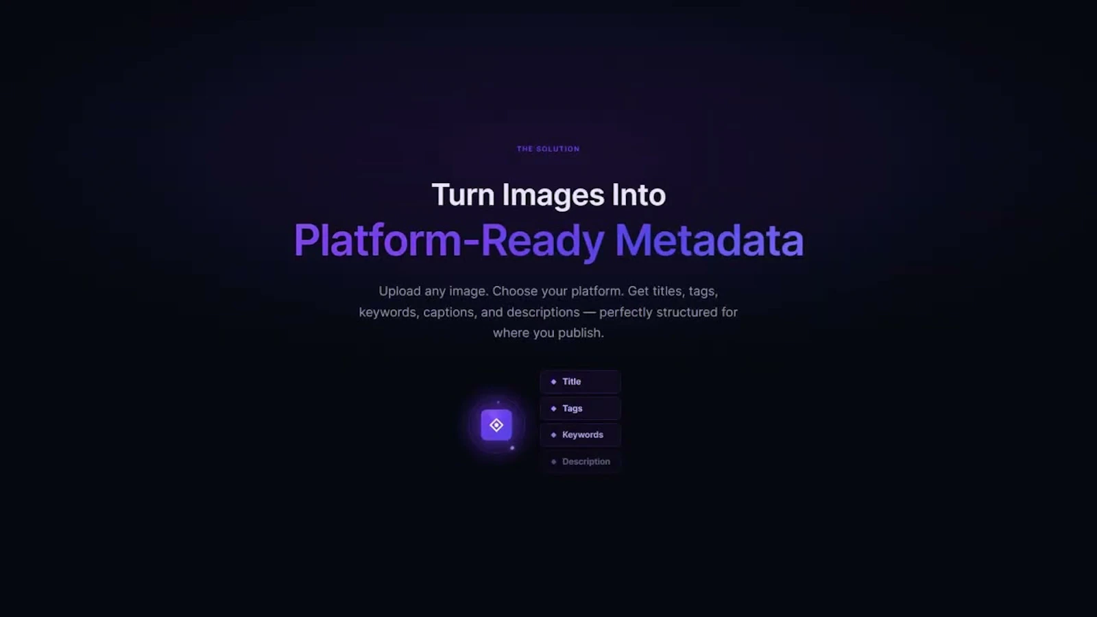 Metadata Reactor screenshot 1 (video preview)