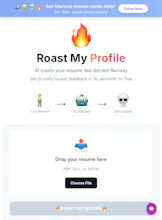 RoastMyProfile.io gallery image