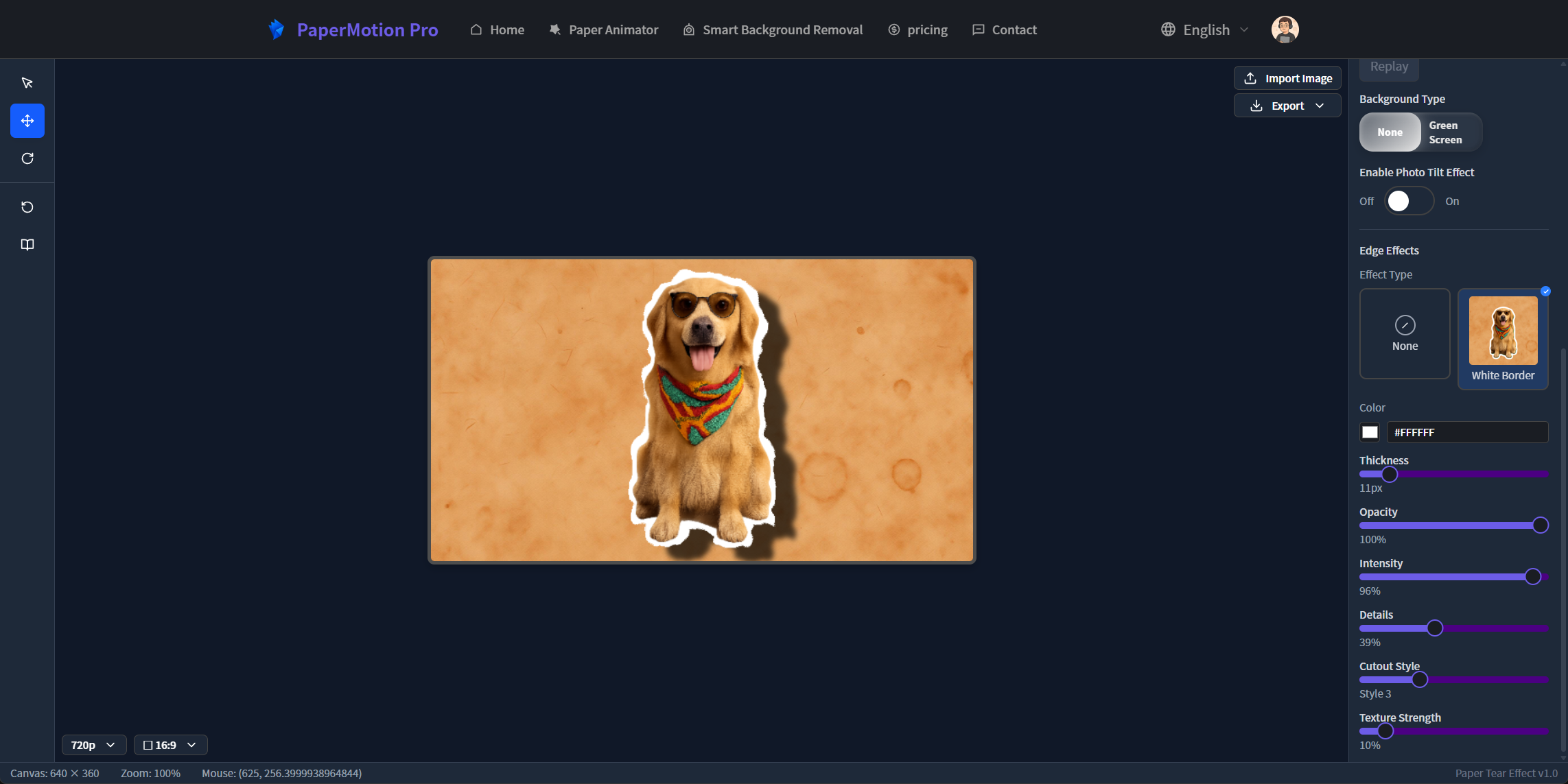 PaperMotion Pro gallery image