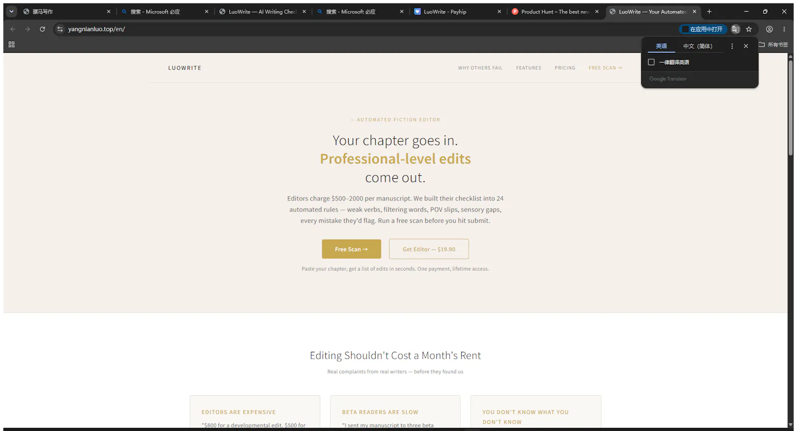 LuoWrite — Your Automated Fiction Editor screenshot 2