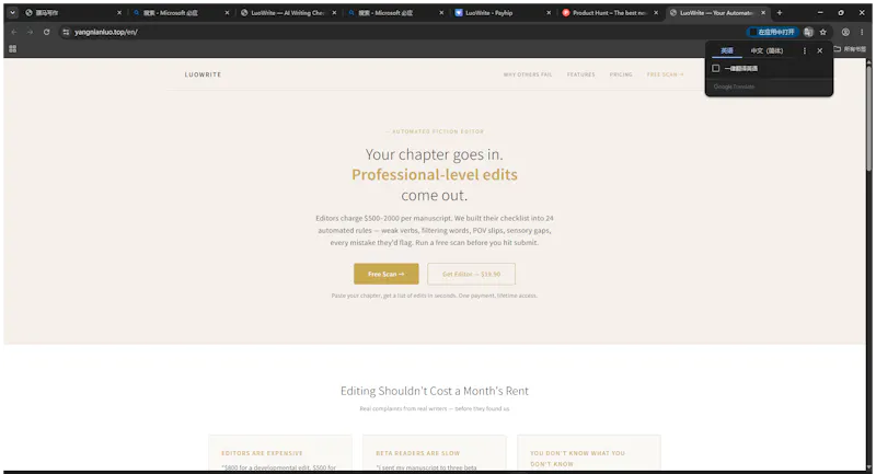 LuoWrite — Your Automated Fiction Editor screenshot 2