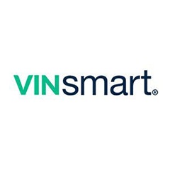 VINsmart