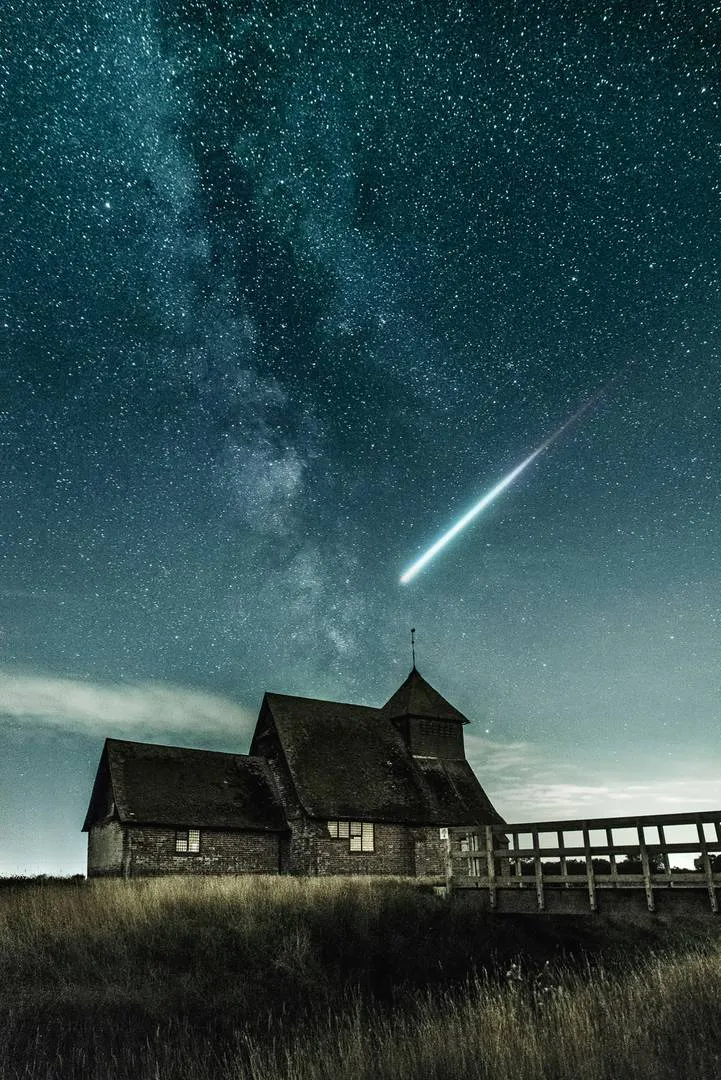 Cosmos  gallery image