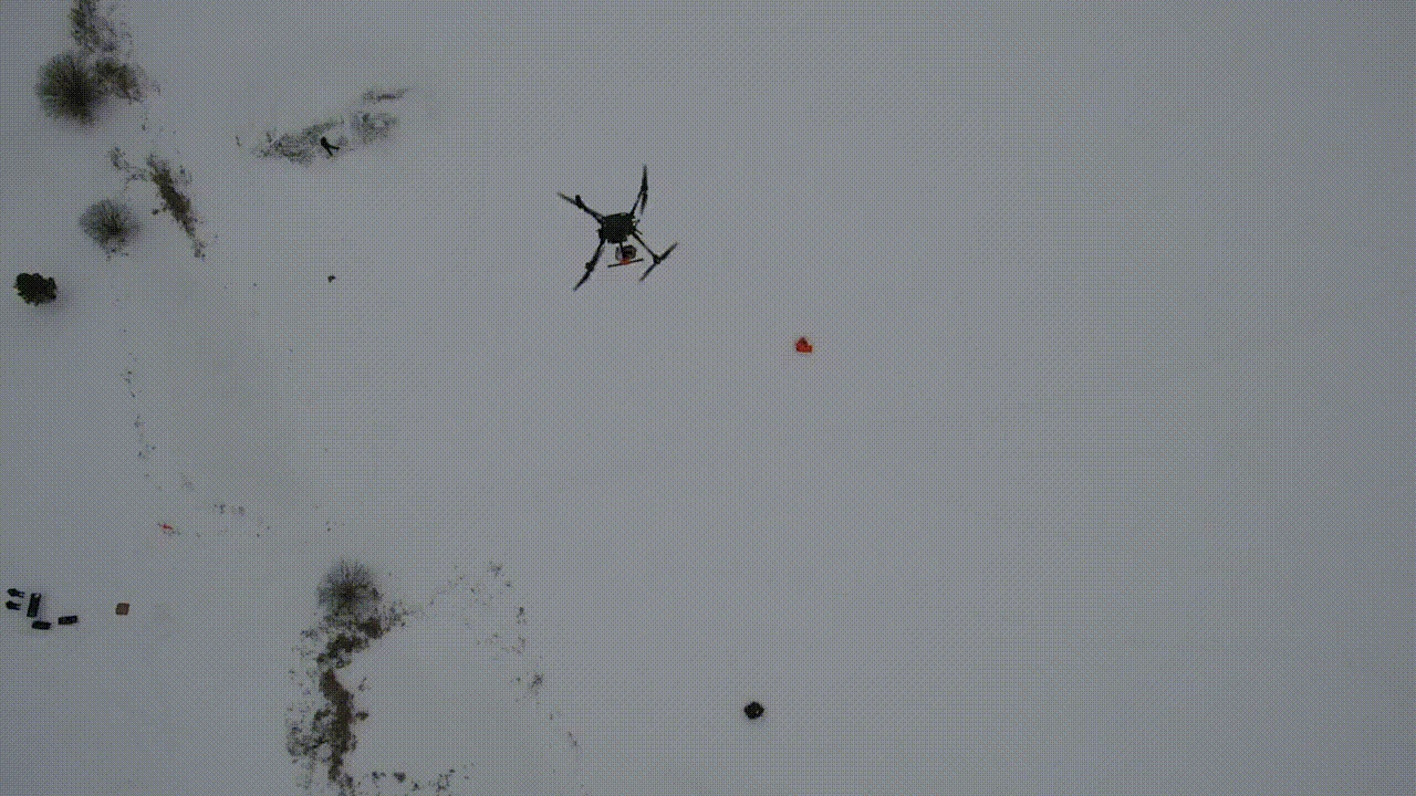 Precision Payload Delivery System