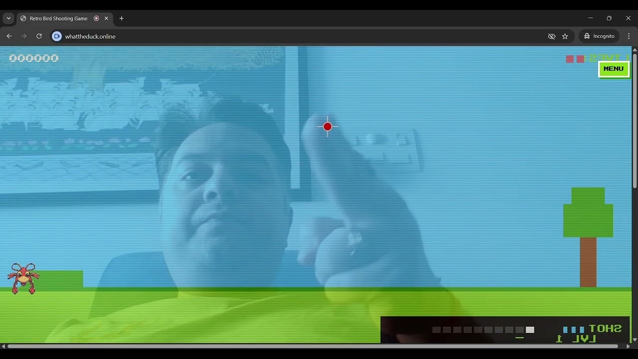 What The Duck! gallery image