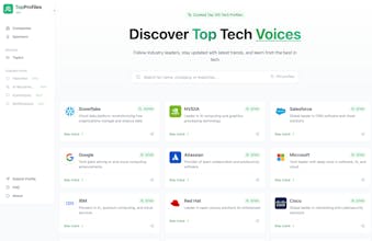 TopProfiles.dev gallery image