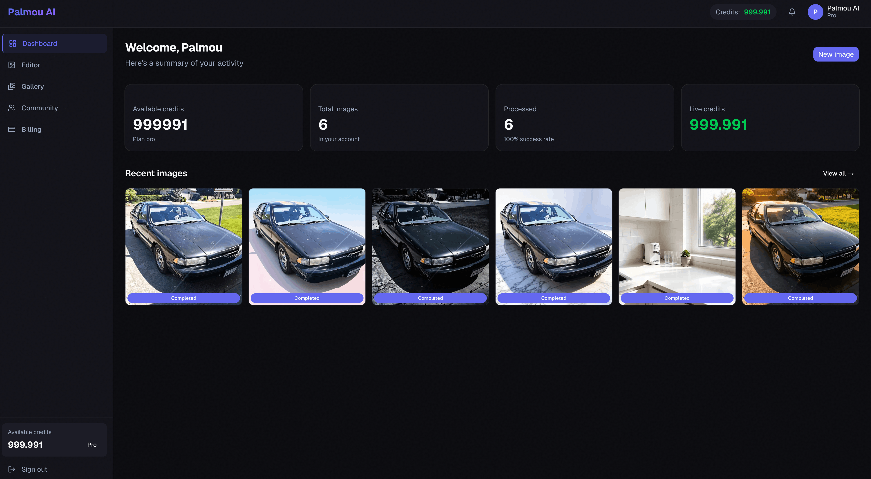 Palmou AI gallery image