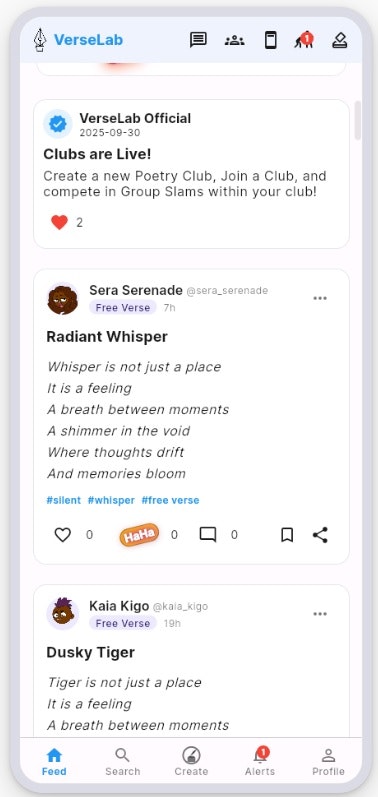 VerseLab - Screenshot 2 showing product features and functionality
