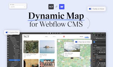 Interfaz de Webflow CMS con una variedad de estilos de mapa para elegir, incluyendo Google Maps.