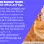 cancatseat