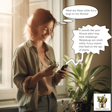 PlantsGalore AI Plant Assistant gallery image