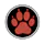 OpenPawz