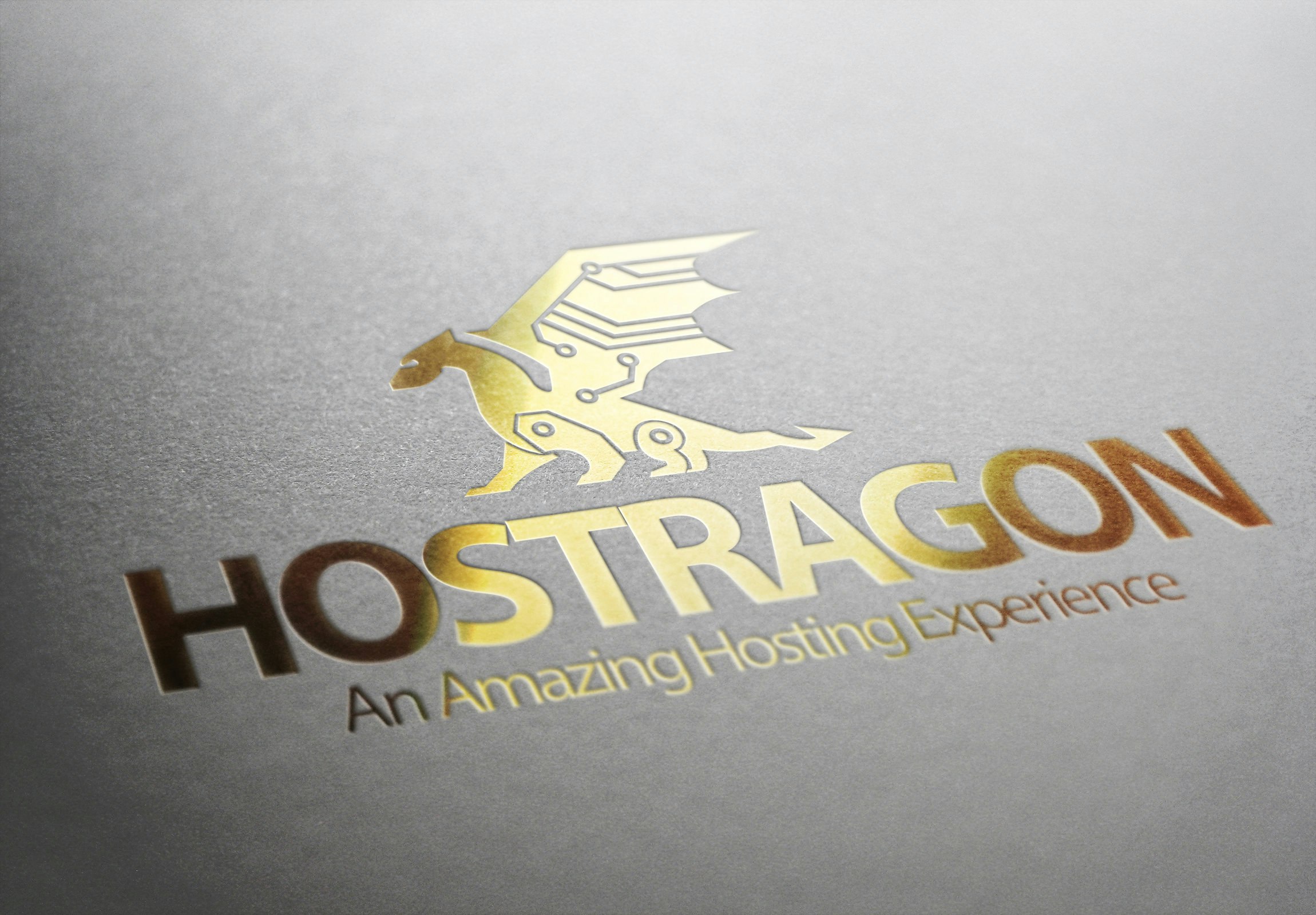 Hostragon gallery image