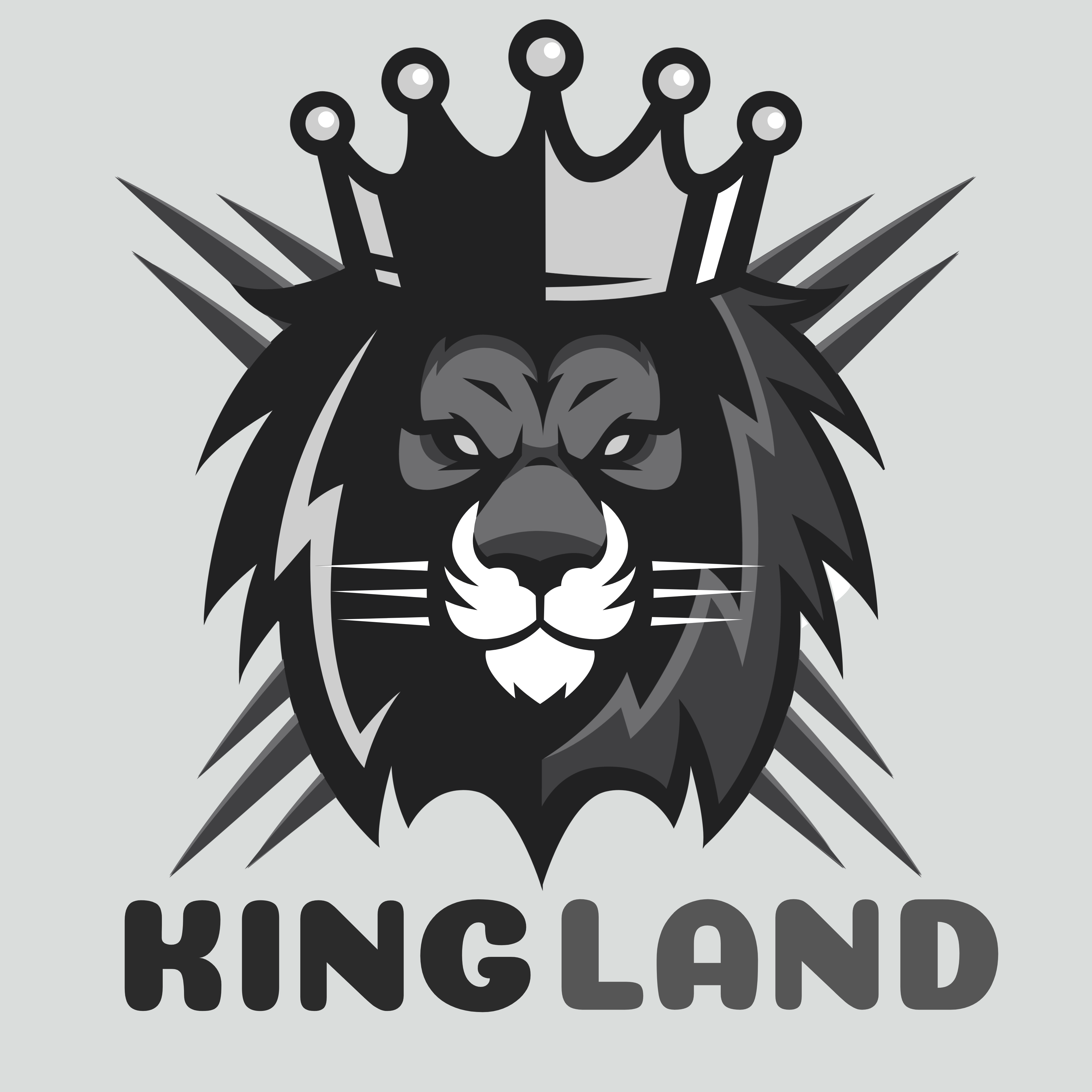 Kingland media 2